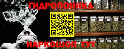 стаф Бийск