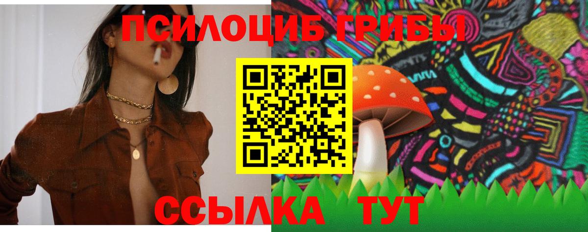 Псилоцибиновые грибы прущие грибы Ишимбай